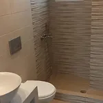 Vlastos 3 *